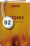 Osho Audiobook - Individual Talk: Joshu: The Lion"s Roar, # 2, (mp3) - moment, center, stalin