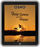 The Wild Geese and the Water