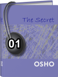 Osho Audiobook - Individual Talk: The Secret, # 1, (mp3) - wisdom, situation, laila