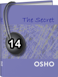 Osho Audiobook - Individual Talk: The Secret, #14 (mp3)