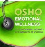 Osho Audiobook - Individual Talk: The Transmission of the Lamp, #10 (mp3)