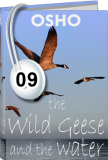 Osho Audiobook - Individual Talk: The Wild Geese and the Water, # 9, (mp3) - becoming, understand, epicurus