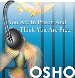 Osho Audiobook - Selected Indiviudal Talk: You Are In Prison and You Think You Are Free (mp3)