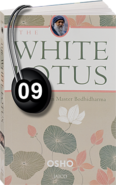 tack shame Screech Osho Osho mp3 Downloadable Audio Books: The White Lotus# 9 - silence,  understand, bodhidharma